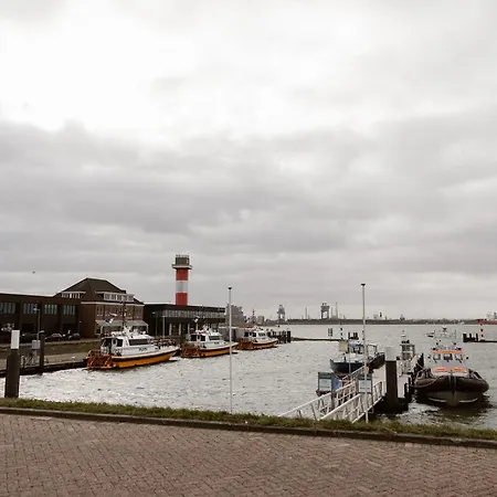 Torpedoloods Hoek van Holland